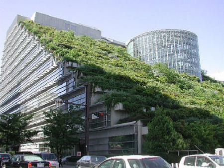 Sustainable Green Building