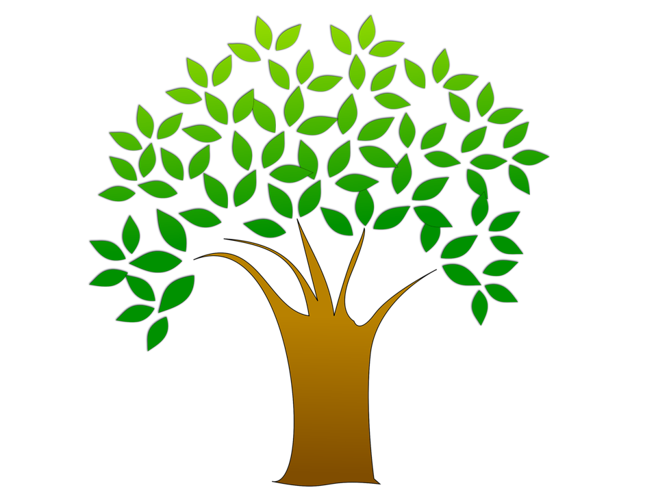 Tree Clip Art