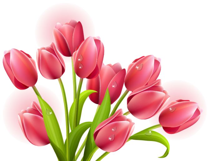 Tulip Bouquet Clip Art