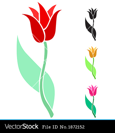 Tulip Flowers Vector Download