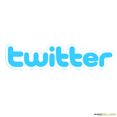 Twitter Logo Vector