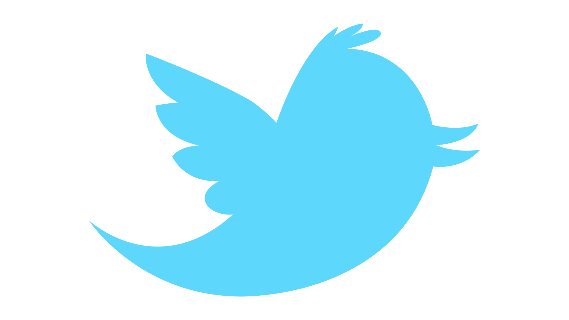 12 Twitter Bird Icon Vector Images