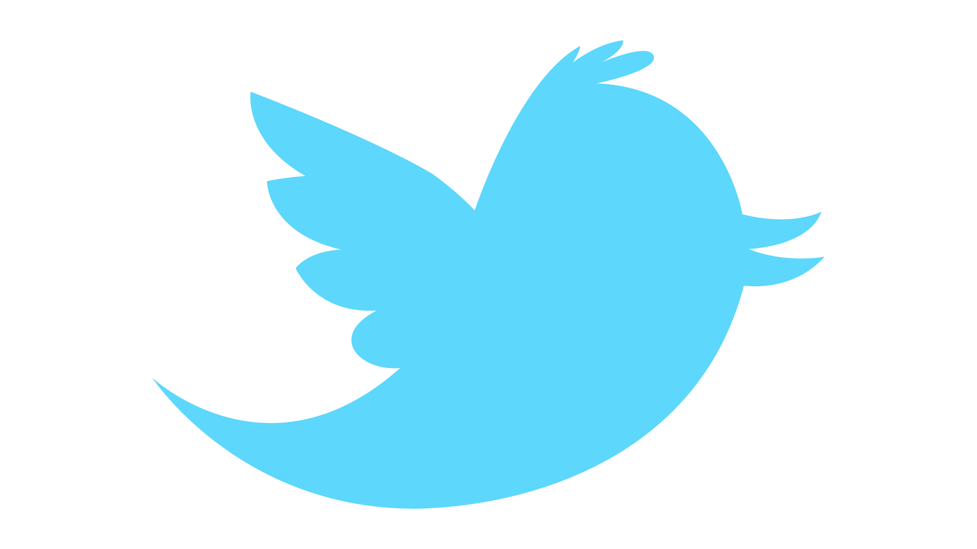 Twitter Twitter