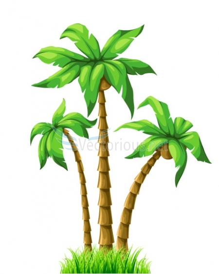 Vector Palm Tree Clip Art