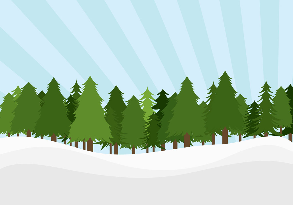 Vector Pine Tree Forest