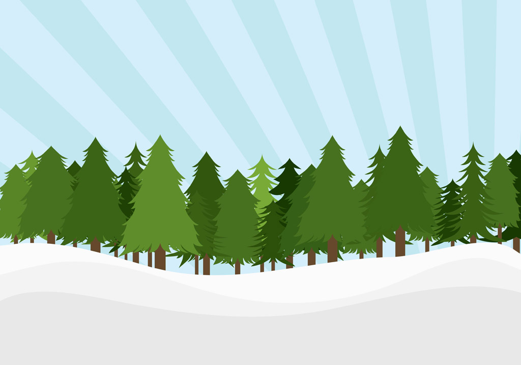 Vector Pine Tree Forest Vector Pine Tree Forest