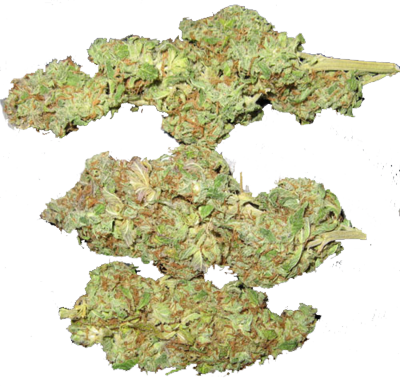 Weed Plant PSD Weed Plant PSD