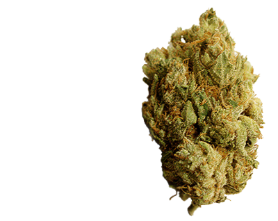 Weed PSD Weed PSD