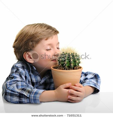 Weird Stock Photos Funny