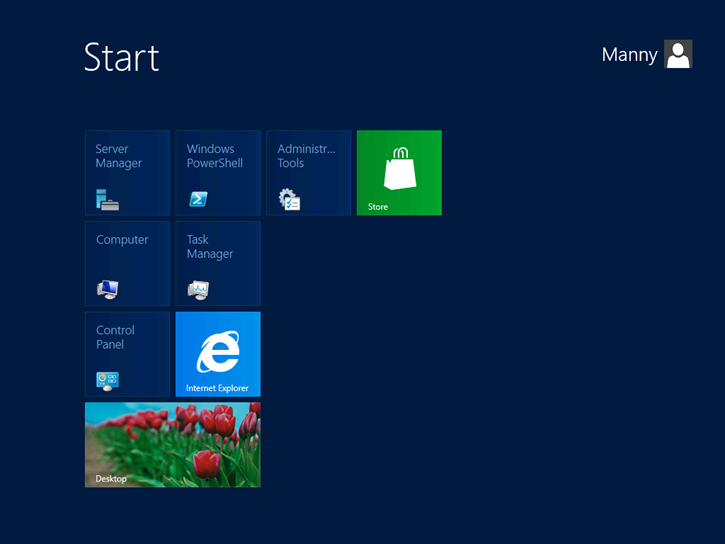 Windows 8 Profile Icons