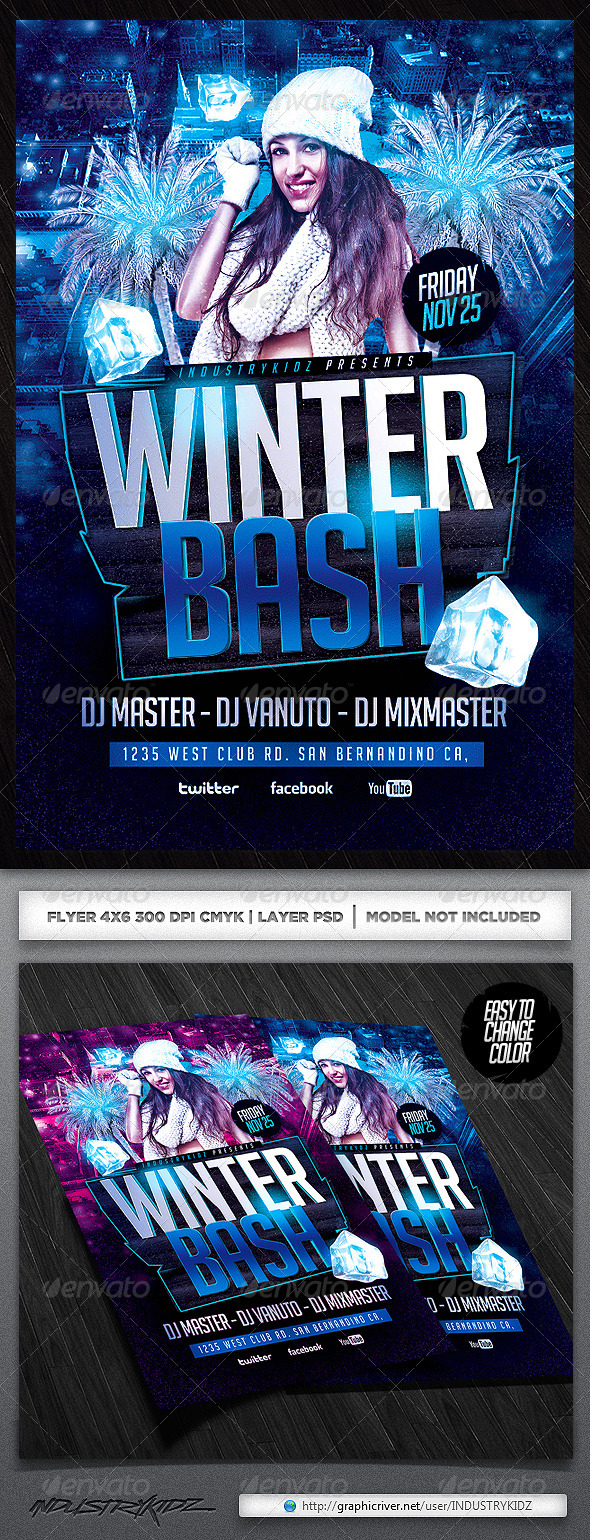 Winter Birthday Party Flyers