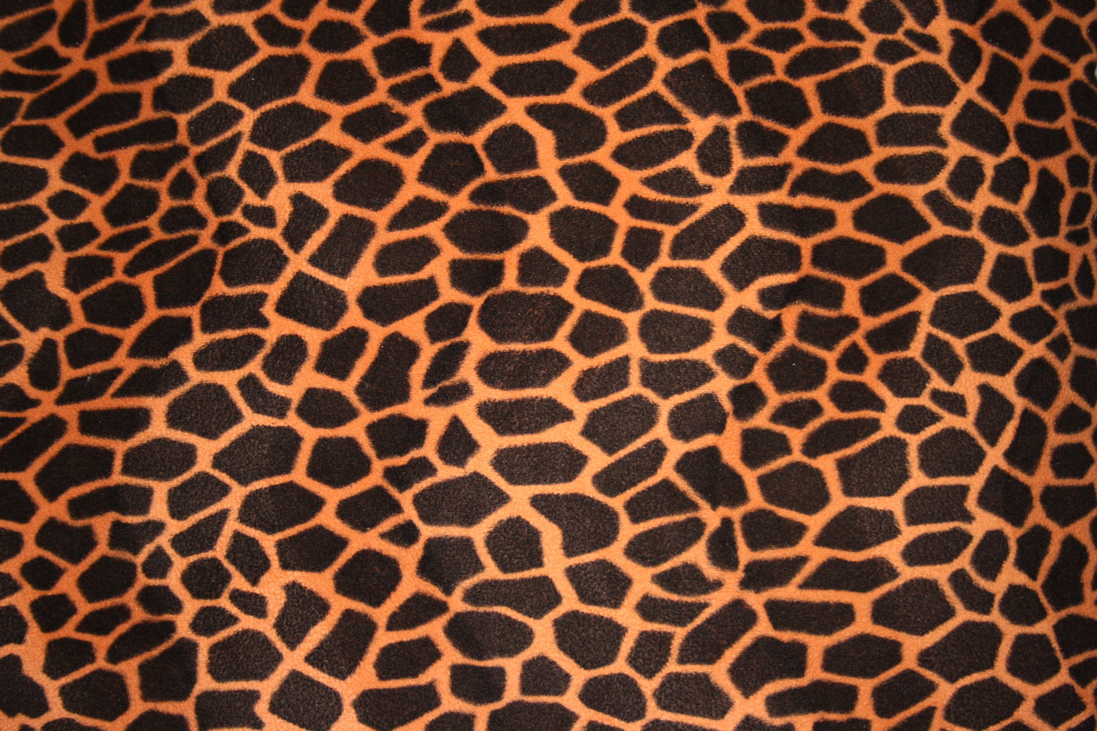 Animal Prints Textures