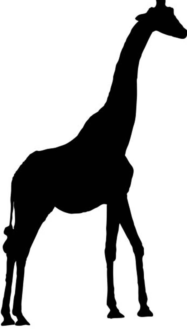 Animal Silhouettes Vector Free