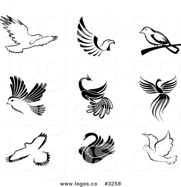 Black and White Bird Clip Art