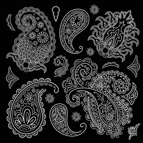 Black and White Paisley Pattern Vector