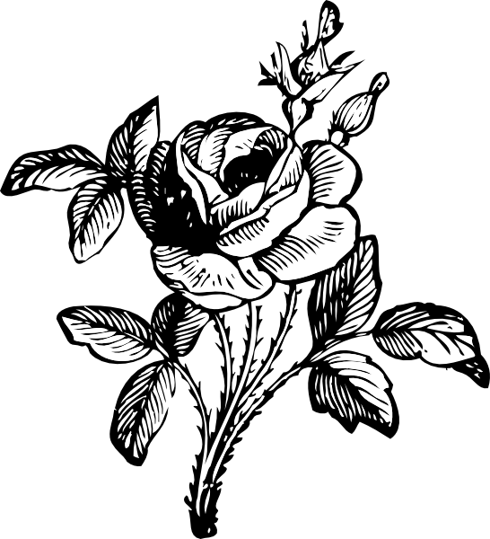 Black and White Rose Clip Art