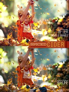 Fall Photoshop Elements Actions