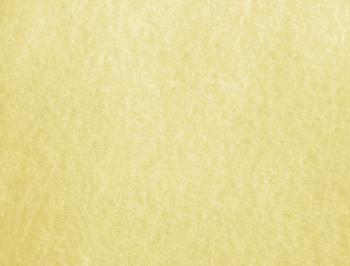 Free Parchment Paper Texture