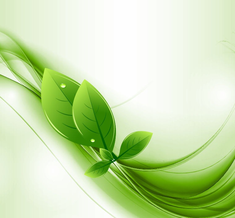 Green Leaves Background Vector