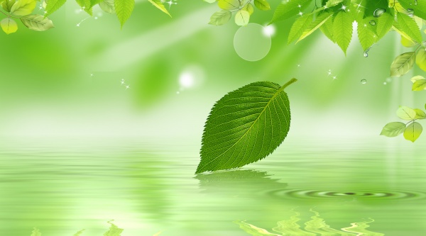 Greenspring Background Free