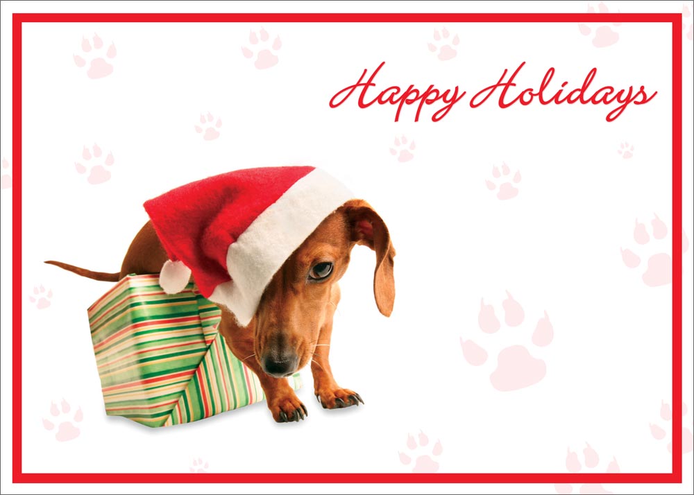 Happy Holidays Christmas Dog Card