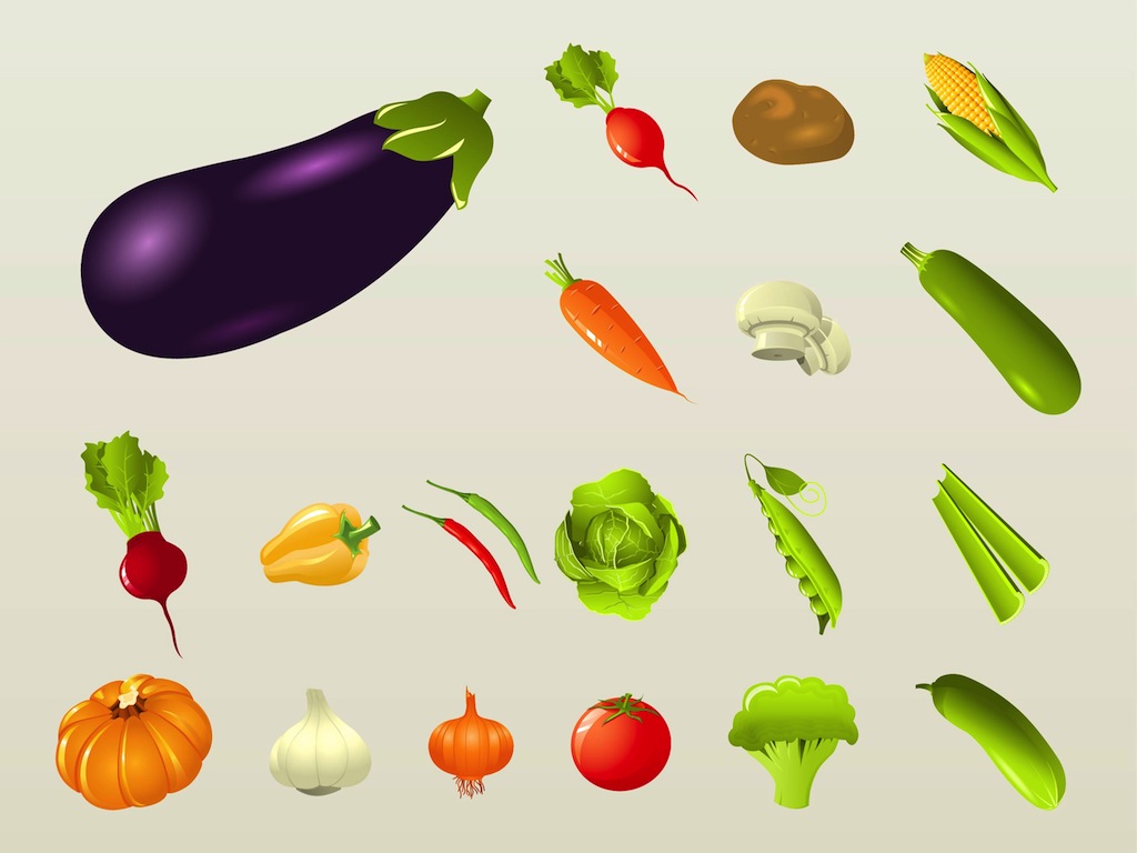 Healthy Food Illustration