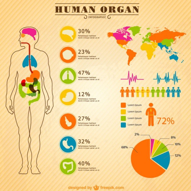 Infographic Elements Free Download