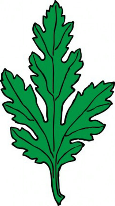 Ivy Leaves Clip Art