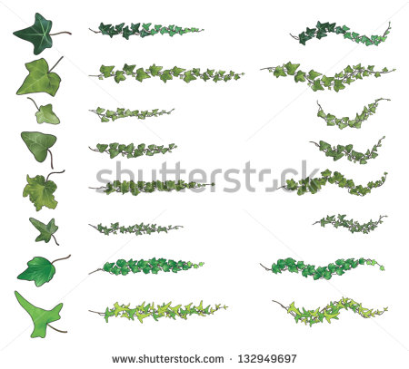 Ivy Vine Leaf Outline