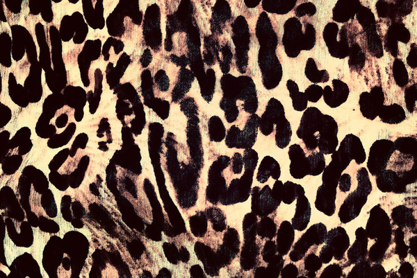 Leopard Print Art