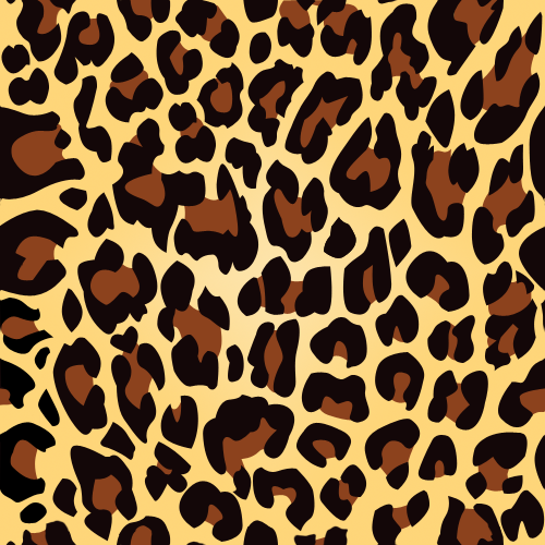 Leopard Print Pattern Texture