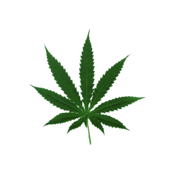 Marijuana Leaf PSD