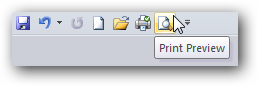 Microsoft Word Print Icon