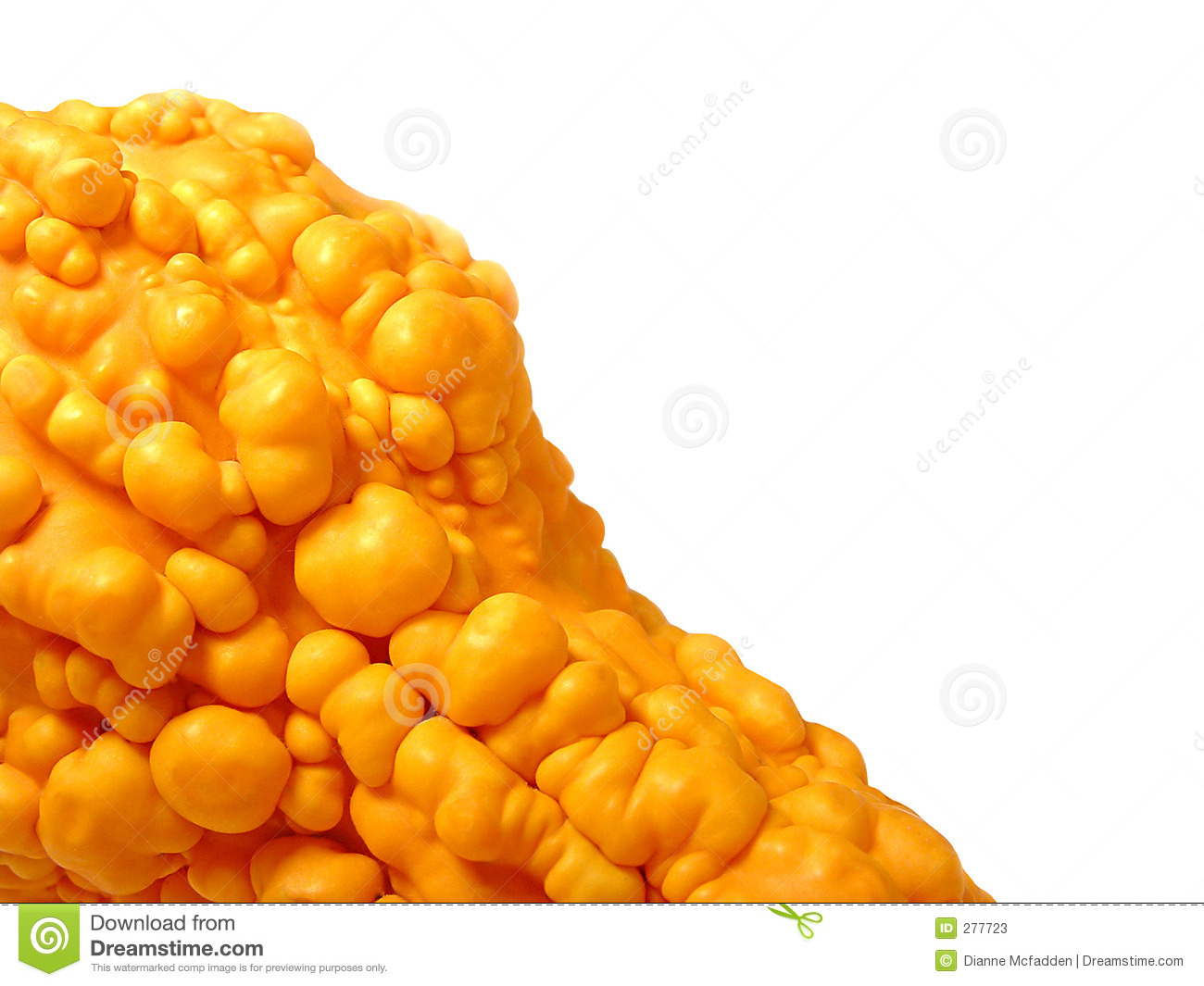 Orange Bumpy Gourd