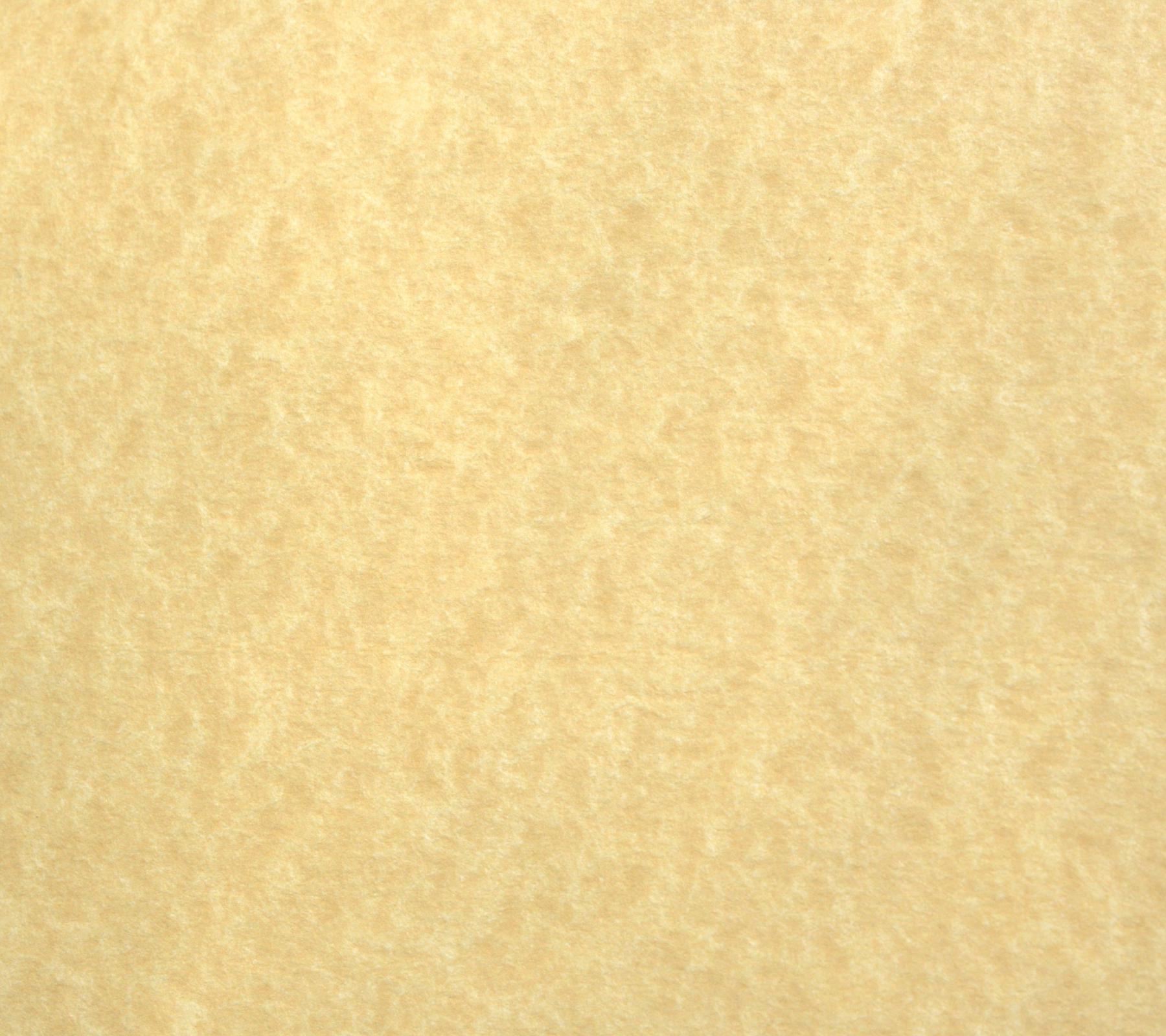 Parchment Paper