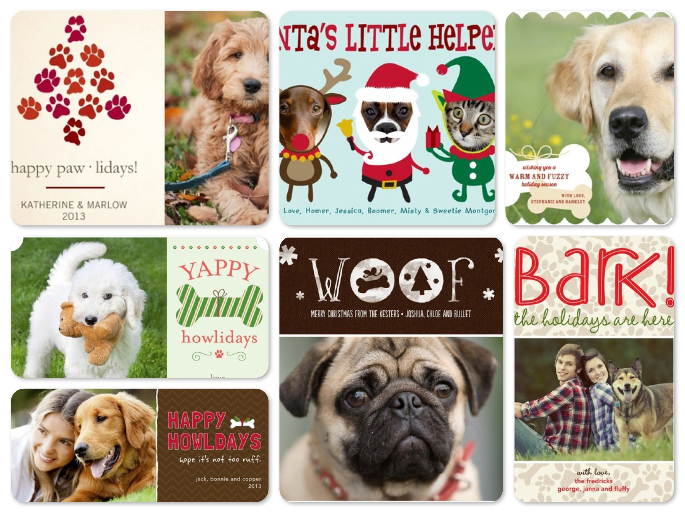 Pet Christmas Card Ideas