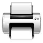 Print Page Icon