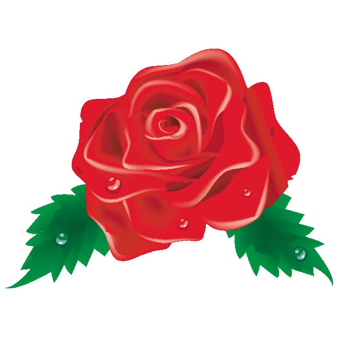 Red Rose Clip Art