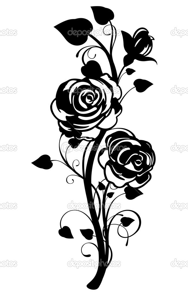 Rose Vine Vector