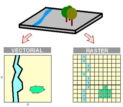 Vector and Raster Data GIS