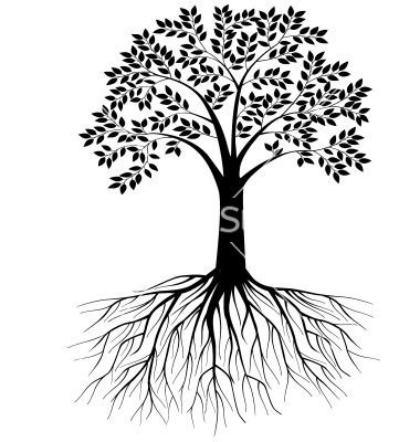 Vector Tree Roots Silhouette