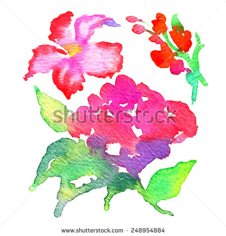 Vector Watercolor Flowers