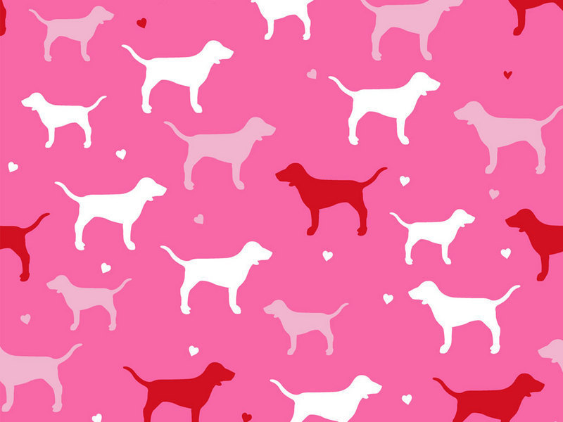 Victoria's Secret Pink Dog