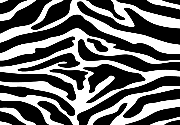 Zebra Print Vector