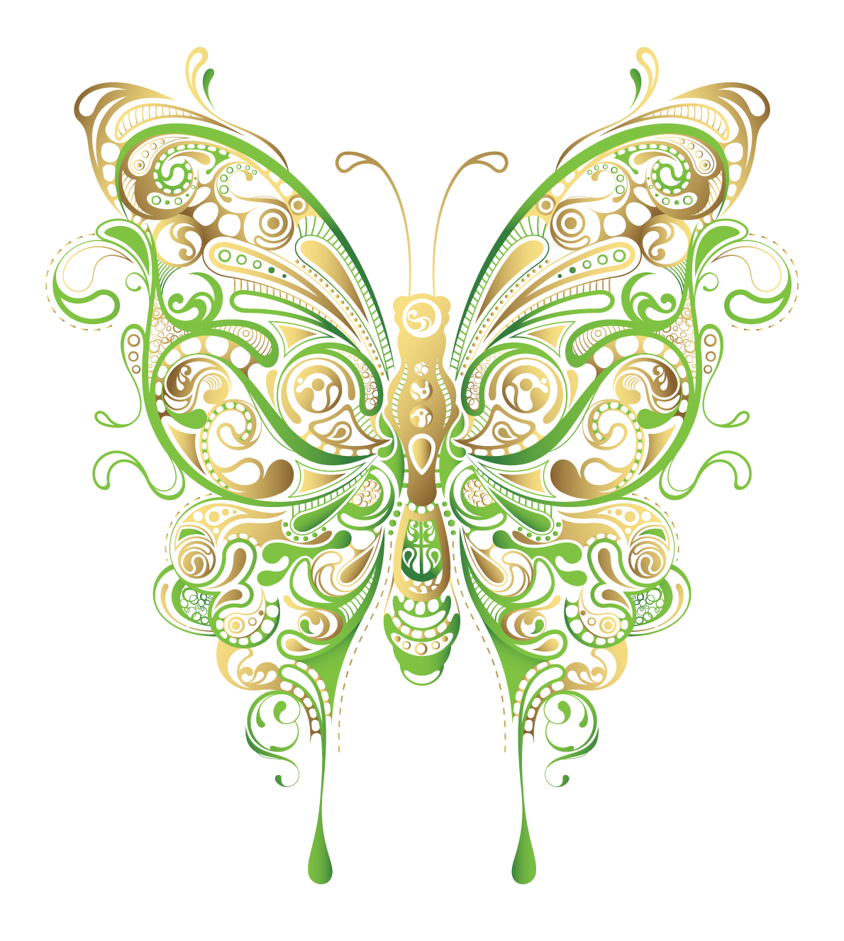 Abstract Butterfly Vector