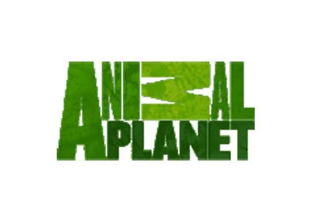 Animal Planet Channel Logo