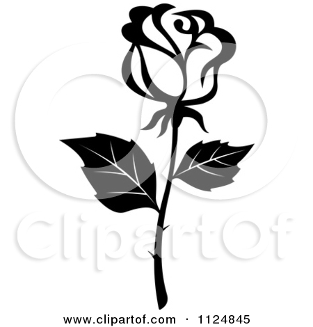 Black and White Rose Vector