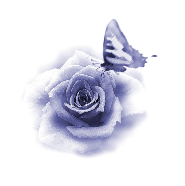 Butterfly and Roses Graphics