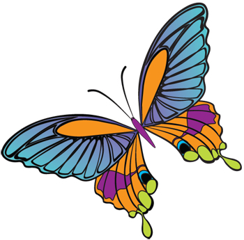 Butterfly Graphic Design Logo
