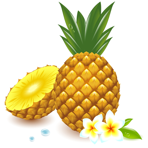 Cartoon Pineapple Cartoon Pineapple